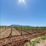 Sobe Burnum Oda ve Kahvaltı 3*
