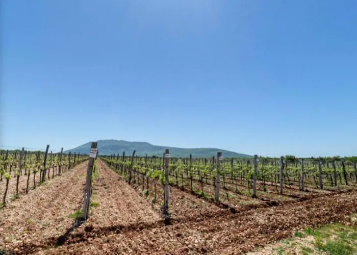 Sobe Burnum 住宿加早餐酒店 3*